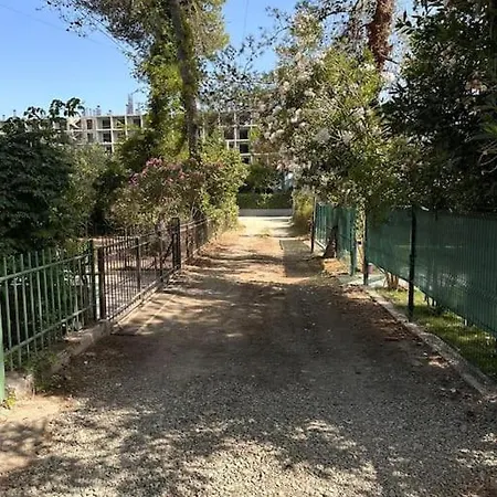 Relax Pine Golem (Tirana)